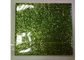 China Luz - espessura robusta geada verde da tela 0.55mm do brilho para sapatas e papel de parede exportador